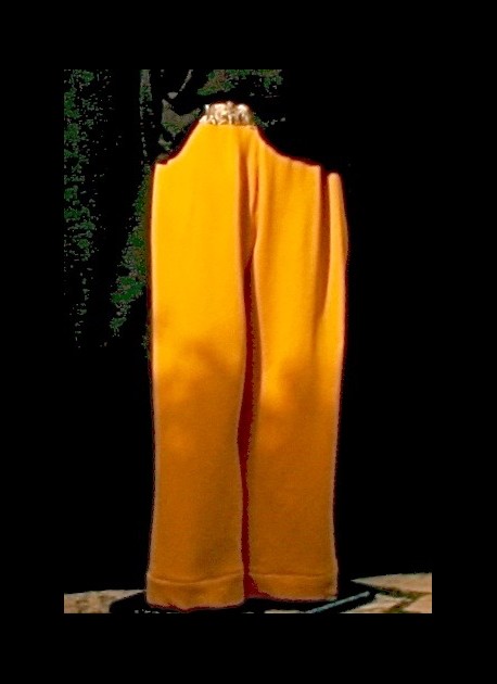 Pantalon moutarde